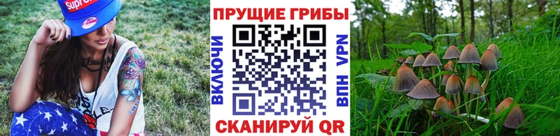 Псилоцибиновые грибы GOLDEN TEACHER  Оса 
